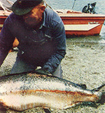 
The sea provides fish.
